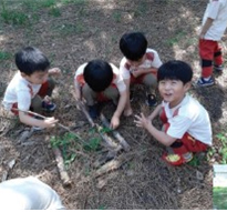 놀이② 나뭇가지로 모양 만들기 - 풀이 사는 집이야!